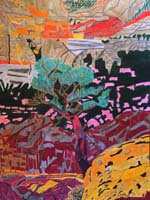 Boulder Mountain Sandstone